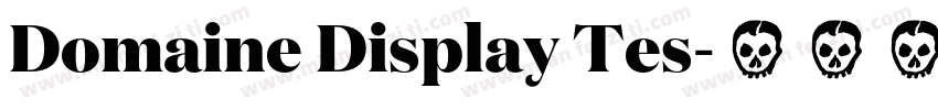 Domaine Display Tes字体转换